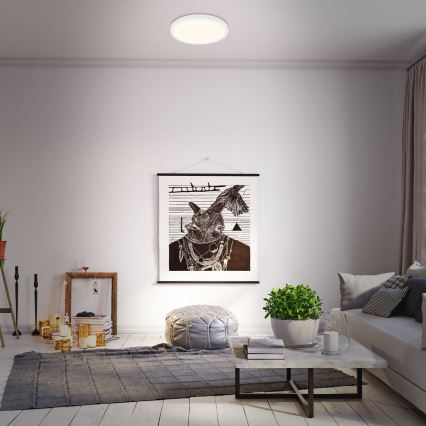 Briloner 3704-016 - LED Hämardatav laevalgusti RUNA LED/22W/230V 2700-6500K valge + kaugjuhtimispult