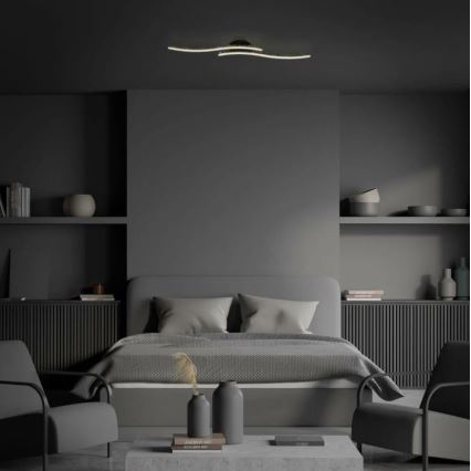 Briloner 3718-025 - LED Pinnale kinnitatav lühter REY 2xLED/6W/230V must