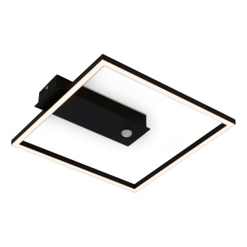 Briloner 3770-015 - LED laelamp liikumis- ja hämarussensoriga FRAME LED/14W/230V 3000K 30x32 cm must