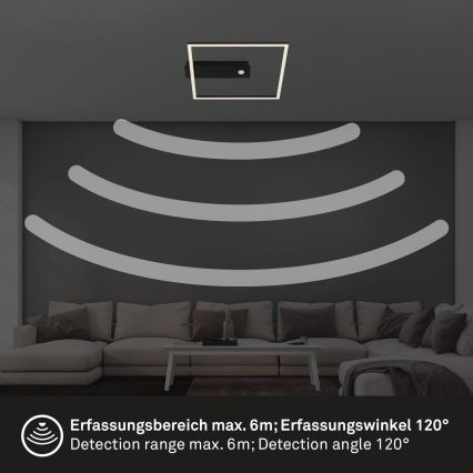 Briloner 3770-015 - LED laelamp liikumis- ja hämarussensoriga FRAME LED/14W/230V 3000K 30x32 cm must