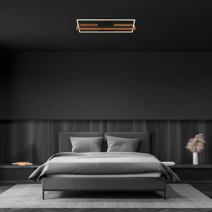 Briloner 3777-015 - LED laevalgusti FRAME LED/21W/230V 3000K