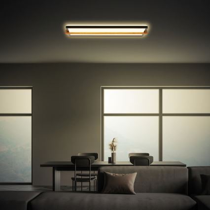 Briloner 3846015 - REMSA LED-laelamp 22W/230V 3000K 60,5x20 cm must