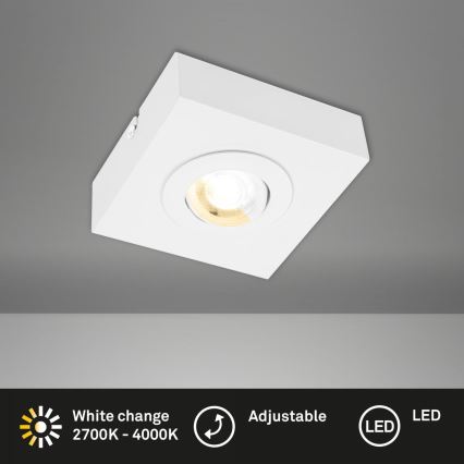 Briloner 3996016 - LED Kohtvalgusti CTS LED/4W/230V 2700/4000K valge