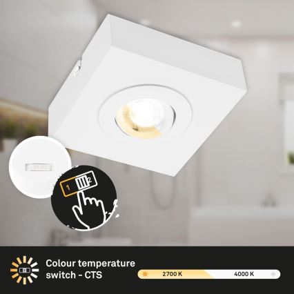 Briloner 3996016 - LED Kohtvalgusti CTS LED/4W/230V 2700/4000K valge