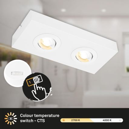 Briloner 3996026 - LED Kohtvalgusti CTS 2xLED/4W/230V 2700/4000K valge