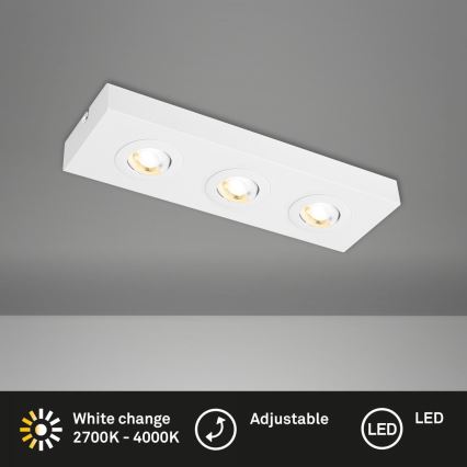 Briloner 3996036 - LED Kohtvalgusti CTS 3xLED/4W/230V 2700/4000K valge