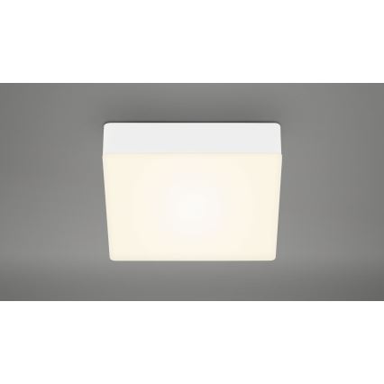 Briloner 7069-016 - LED Laevalgusti LED/11W/230V valge