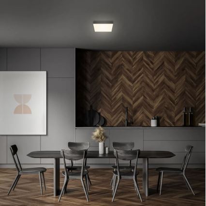 Briloner 7070-015 - LED Laevalgusti FLAME LED/16W/230V must