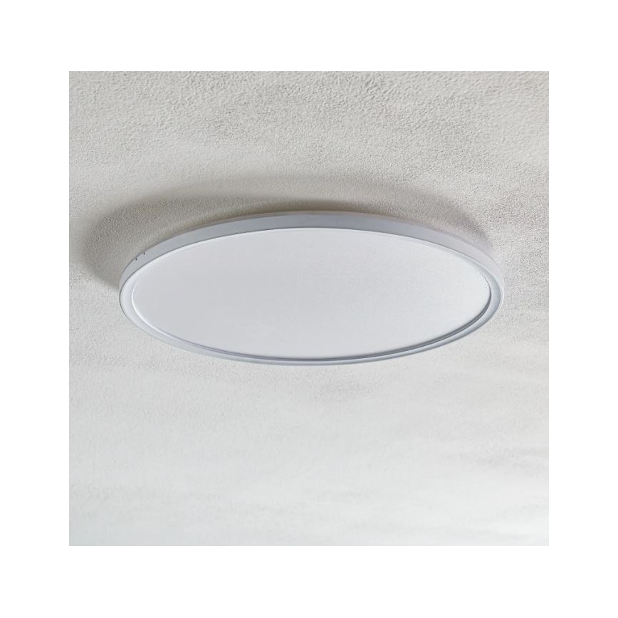 Briloner 7094-416 - LED RGB Hämardatav laevalgusti SLIM LED/22W/230V + kaugjuhtimispult