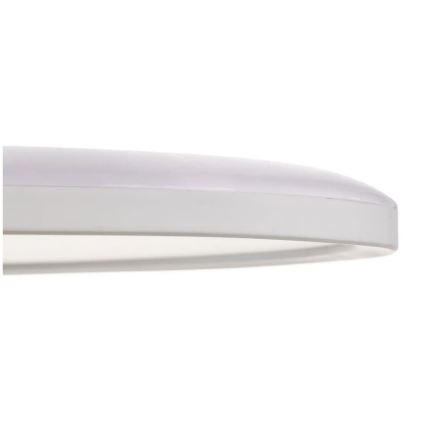 Briloner 7094-416 - LED RGB Hämardatav laevalgusti SLIM LED/22W/230V + kaugjuhtimispult