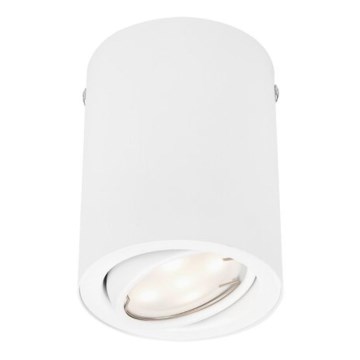 Briloner 7119-016 - LED kohtvalgusti TUBE 1xGU10/5W/230V ümmargune