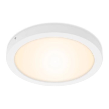 Briloner 7141-016 - LED Laevalgusti FIRE LED/21W/230V