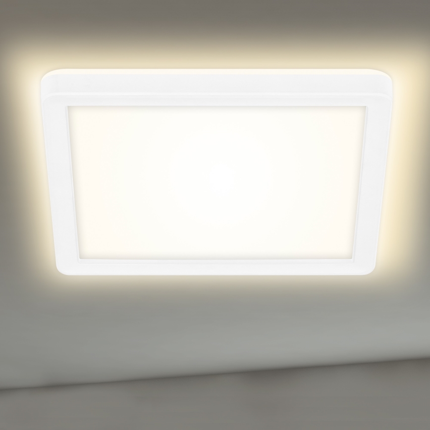 Briloner 7153-416 - LED Laevalgusti SLIM LED/12W/230V