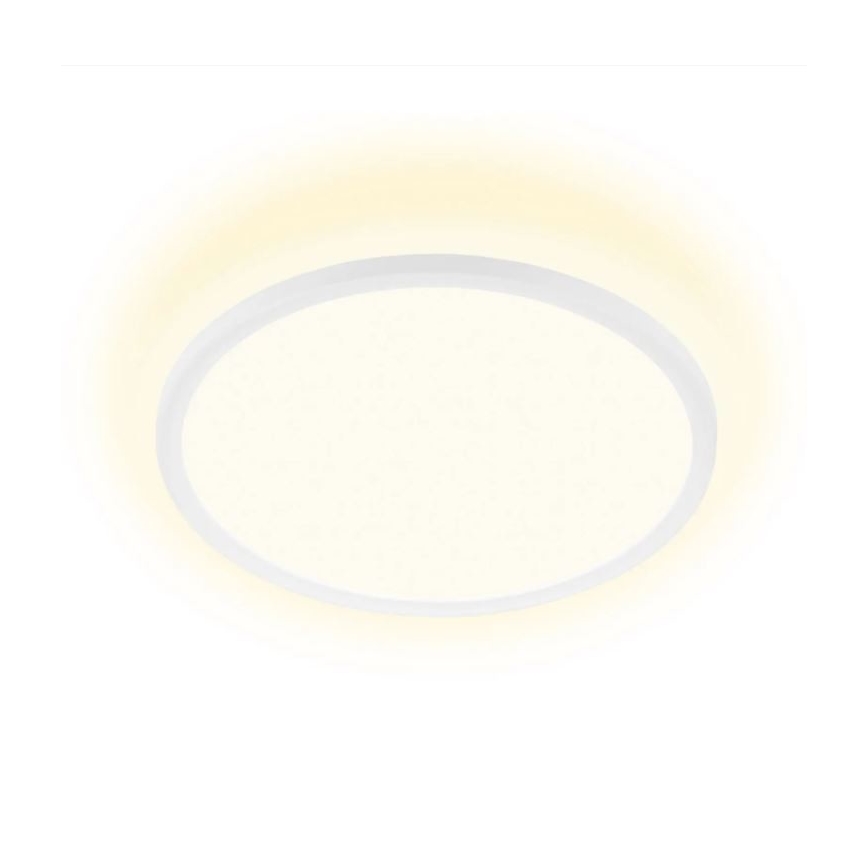 Briloner 7155-416 - LED Laevalgusti SLIM LED/18W/230V