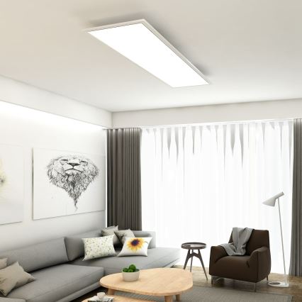 Briloner 7193-016 - pinnale paigaldatav LED-paneel LED/38W/230V 4000K