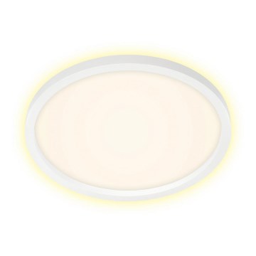 Briloner 7363-016 - LED Laevalgusti CADRE LED/22W/230V d. 42,5 cm valge