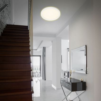 Briloner 7363-016 - LED Laevalgusti CADRE LED/22W/230V d. 42,5 cm valge