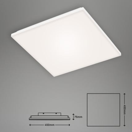 Briloner 7376-116 - LED Laevalgusti FRAMELESS LED/24W/230V