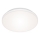 Briloner 7377-016 - LED Hämardatav laevalgusti LED/12W/230V 3000-6500K + kaugjuhtimispult
