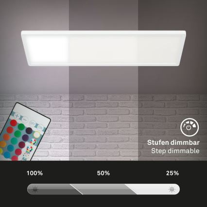 Briloner 7404-016 - LED RGBW hämardatav pinnapealne paneel LED/22W/230V 4000K + kaugjuhtimispult