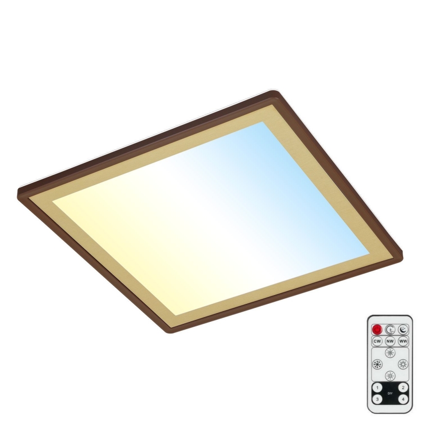 Briloner 7459-417 - LED Hämardatav laevalgusti DECO LED/24W/230V 2700-6500K + kaugjuhtimispult