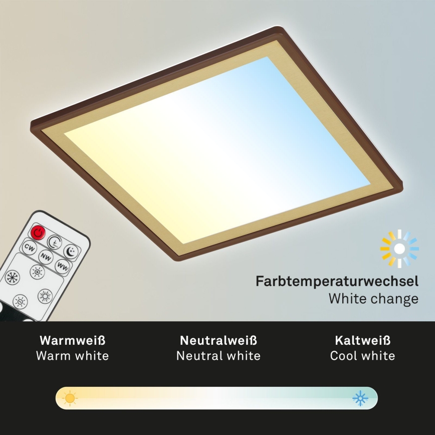 Briloner 7459-417 - LED Hämardatav laevalgusti DECO LED/24W/230V 2700-6500K + kaugjuhtimispult
