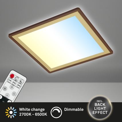 Briloner 7459-417 - LED Hämardatav laevalgusti DECO LED/24W/230V 2700-6500K + kaugjuhtimispult