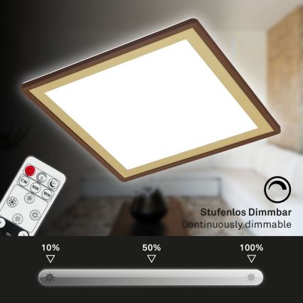 Briloner 7459-417 - LED Hämardatav laevalgusti DECO LED/24W/230V 2700-6500K + kaugjuhtimispult