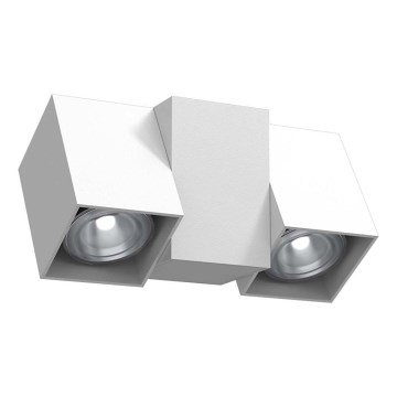 Brosline - seinale suunatav punktvalgusti 1xGU10/10W/230V, valge