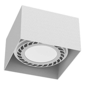 Brosline - Suunatav laevalgusti 1xGU10/18W/230V valge