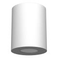 Brosline - Vannitoa spottvalgusti 1xGU10/10W/230V IP44 valge