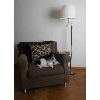 ByRydens - LED Põrandalamp ORLANDO 1xE27/5W/230V + LED/3W valge/pronks d. 36 cm