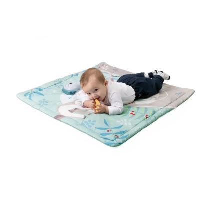 Chicco - Laste tegelustekk 2in1 3xAAA öökull