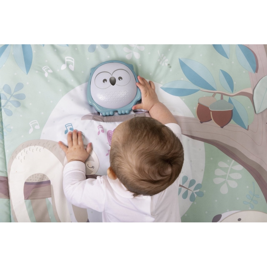 Chicco - Laste tegelustekk 2in1 3xAAA öökull