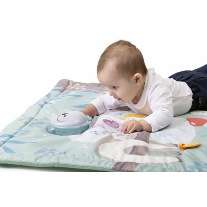 Chicco - Laste tegelustekk 2in1 3xAAA öökull