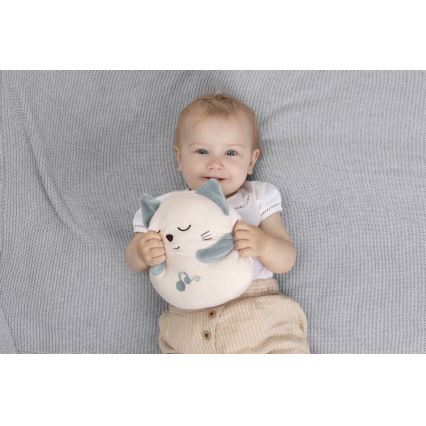 Chicco - Plüüsist tegevusmänguasi kass 3xAAA