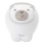 Chicco - Projektor lastele 2in1 POLAR BEAR 3xAA beež