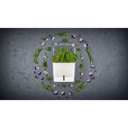 Cole&Mason - Konteiner värskelt lõigatud ürtide säilitamiseks