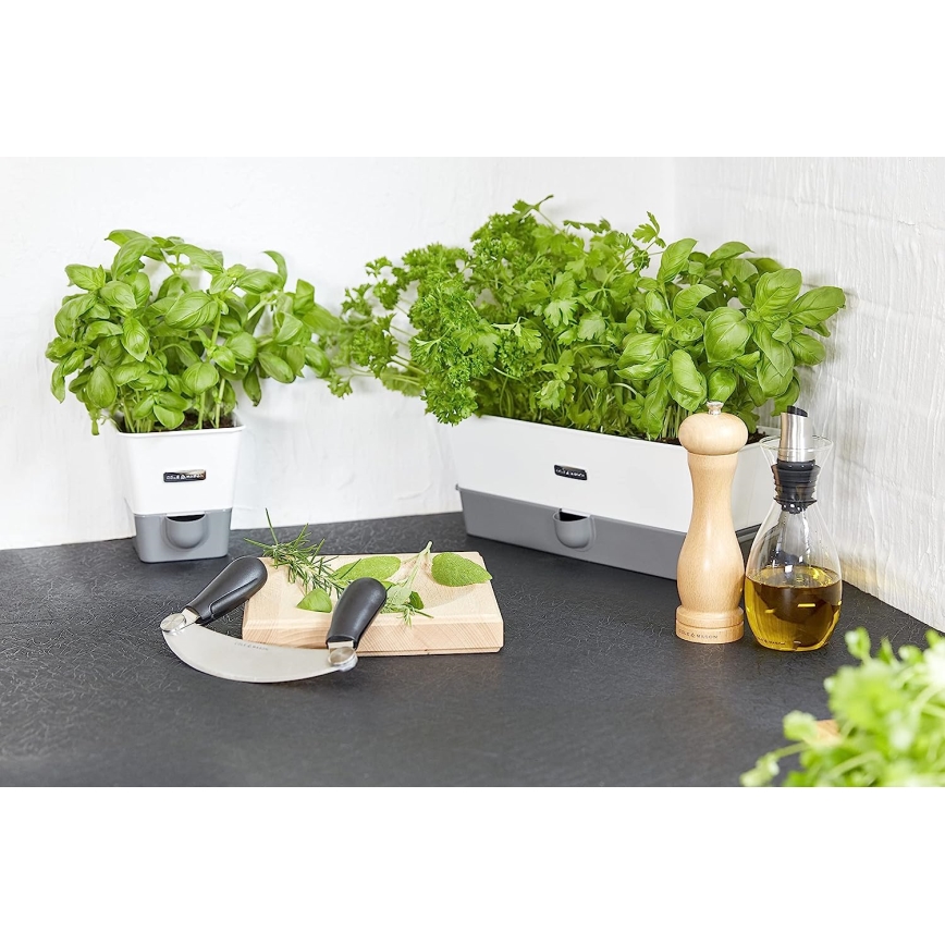 Cole&Mason - Pipraveski CAPSTAN BEECH pöök 20 cm
