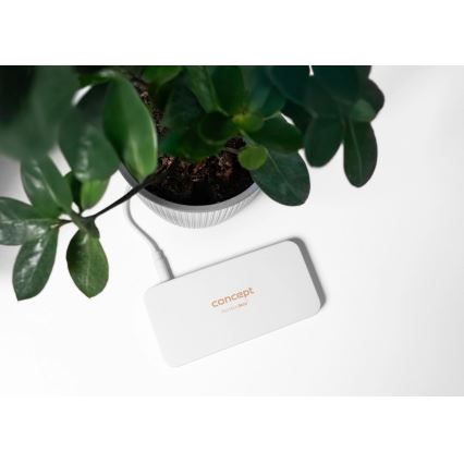 Concept KZ2010 - LED taskukosmeetiline peegel PERFECT SKIN LED/1,5W/5V 4500-5500K 300 mAh valge