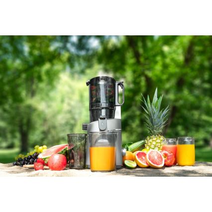 Concept LO7120 - Mahlapress JUICY 250W/230V hall