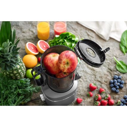 Concept LO7120 - Mahlapress JUICY 250W/230V hall