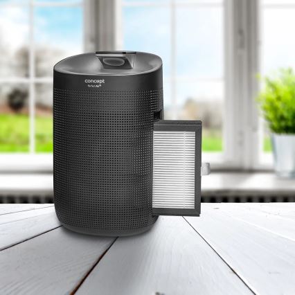 Concept OV1210 - Õhukuivati ja õhupuhasti PERFECT AIR 1 l 45W/230V must
