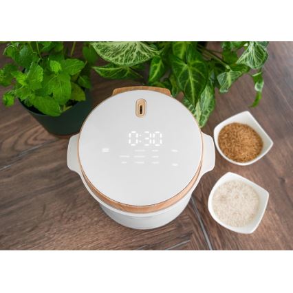 Concept RE3030 - Digitaalne riisikeetja 2-ühes 380W/230V 1,5 l valge/puidu dekor