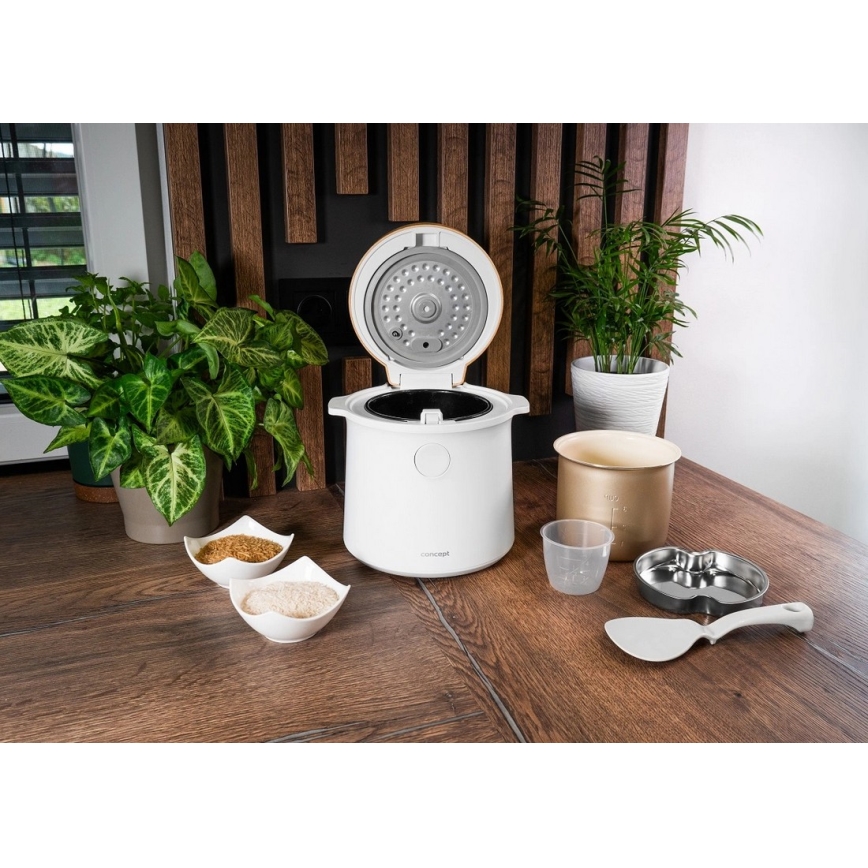 Concept RE3030 - Digitaalne riisikeetja 2-ühes 380W/230V 1,5 l valge/puidu dekor