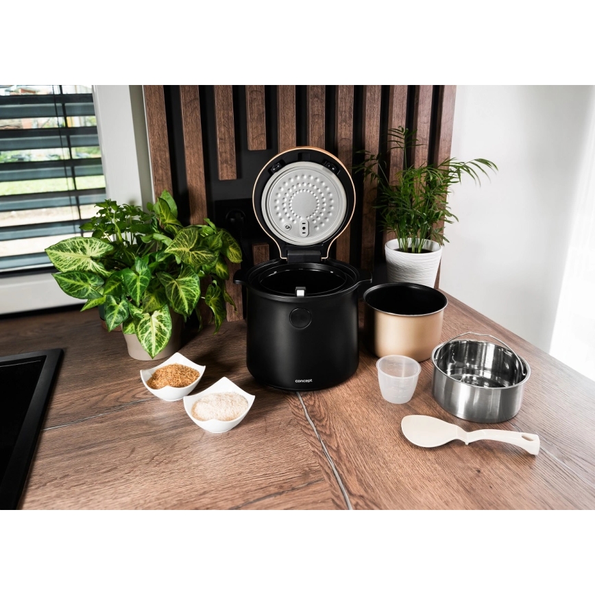 Concept RE4040 - Digitaalne riisikeetja 2-ühes 450W/230V 2 l must/puidu dekor