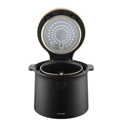 Concept RE4040 - Digitaalne riisikeetja 2-ühes 450W/230V 2 l must/puidu dekor