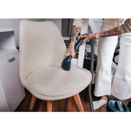 Concept TP2010 - DEEPCLEAN vaibapesur 450W/230V sinine