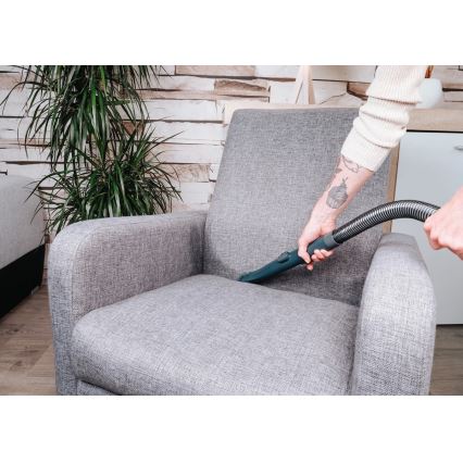 Concept TP2010 - DEEPCLEAN vaibapesur 450W/230V sinine