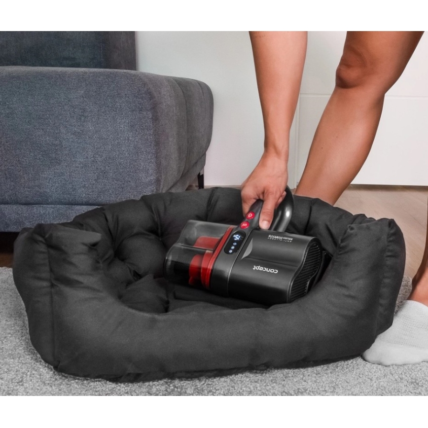 Concept VP2000 - käeshoitav antibakteriaalne tolmuimeja UV-C-lambiga LUMISTAR 120W/11,1V